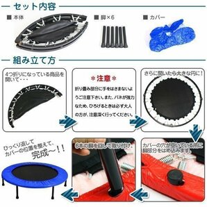 訳ありB級品◆トランポリン エクササイズ ラ ###訳小野トランポリンオラ色ラカバナシ☆###の画像3