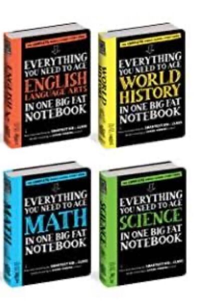 レア★残り1点★ラスト★最安 everything you need to ace math 等シリーズ 2冊