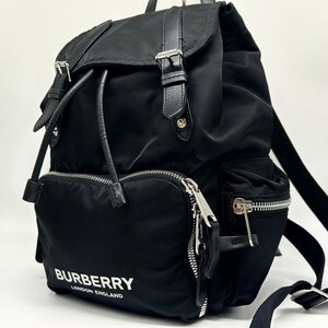 現行◆極美品 バーバリー BURBERRY リュックサック バックパック バックバッグ ビジネス メンズ ブラック 黒 ロゴ ナイロンレザー 本革 鞄