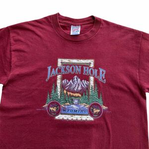 90's USA製 JERZEES JACKSON HOLE Tシャツ コットン100% ビンテージ オールド ジャージーズ ラッセル 自然 山 マウンテン