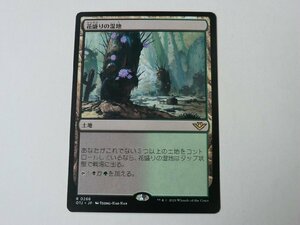 MTG 美品 【花盛りの湿地】 （レア） サンダー・ジャンクションの無法者 OTJ 日 4枚迄