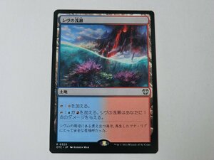 MTG 美品 【シヴの浅瀬】 （レア） サンダー・ジャンクションの無法者 OTC 日 4枚迄