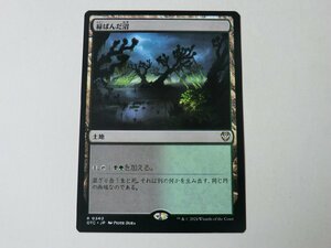 MTG 美品 【緑ばんだ沼】 （レア） サンダー・ジャンクションの無法者 OTC 日 4枚迄