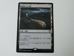 MTG 美品 【屍肉あさりの地】 （レア） サンダー・ジャンクションの無法者 OTC 日 4枚迄