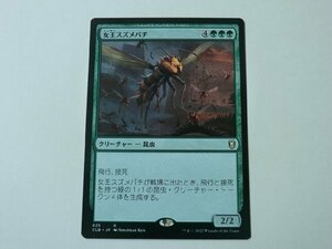 MTG 美品 【女王スズメバチ】 （レア） CLB 日 2枚迄