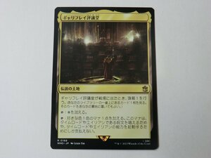 MTG 美品 【ギャリフレイ評議堂】 （レア） ドクター・フー WHO 日 9枚迄