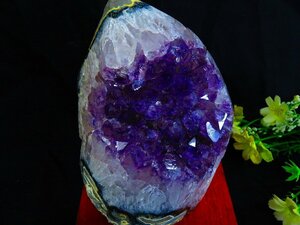 ウルグアイ産★ 天然水晶★絶品超濃い濃い超美しい★アメジストクラスター 超巨大★1.8ｋg★TK544