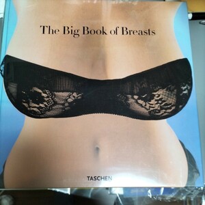 写真集　海外　グラビア　ヌード　TASCHEN 大型本　THE big bookof breastＳ