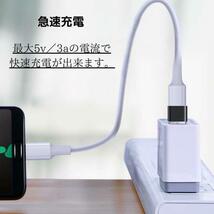 USB Type-C 変換 タイプC 変換アダプタ iPhone　2個_画像4