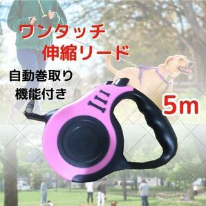 伸縮リード 犬用 ピンク 自動巻き取り ロック付き 5ｍ 散歩 ペット用品の画像1