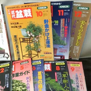 盆栽花木楽しみ方！【盆栽 本11冊１冊 近代盆栽 植木鉢 雑誌】◆豆鉢 蘭鉢 青磁鉢 美濃焼 趣味 展示植え替え※経済上向 骨董品薄の画像5