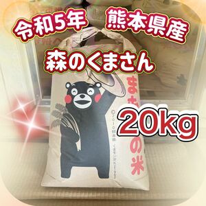 森のくまさん　20kg 令和5年熊本県産