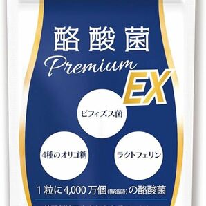 酪酸菌プレミアムEX 48億個 ビフィズス菌 フラクトオリゴ糖 整腸　イヌリン　腸内細菌　腸内環境