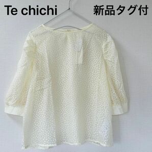 【Te chichi】オパール変形ドットブラウス、シアー、パススリーブ