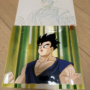 ドラゴンボール 当時品 セル画 9の画像1