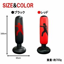 サンドバック ボクシング 格闘技 打撃 パンチングバッグ キック ボクササイズ HE709_画像9