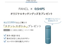 ファンケル SHIPS シップス ステンレスボトル 水筒 タンブラー_画像2