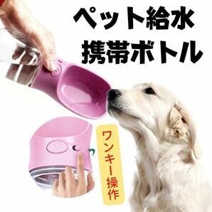 【ピンク】給水ボトル　犬　ペット　携帯用給水器　ウォーターボトル　ラスト1点