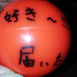 AKBメンバーサインボール