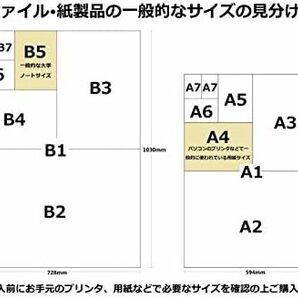 テージー コレクションアルバム スペアポケット 大型切手単片用 4段黒台紙 10枚入 CA-304の画像5