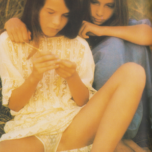 DAVID HAMILTON デビッド・ハミルトン☆PRIVATE COLLECTION☆全79作品 1976年発行《希少 アート写真集》の画像2