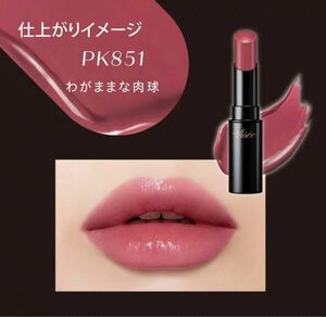 ヴィセ　Visse ネンマクフェイクルージュ　PK851 わがままな肉球　使用済み