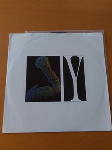 ★ y / pseudo youth 他11曲入り 希少盤 EP 再生確認済 ドイツ Thrash Punk・Brutal・PowerViolence イプシロン anomie records