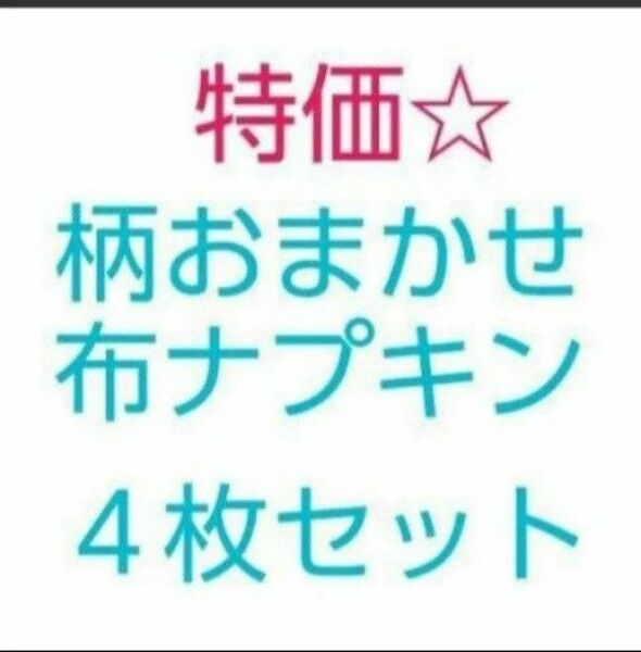 柄おまかせ　布ナプキン　４枚セット　(布ライナー)