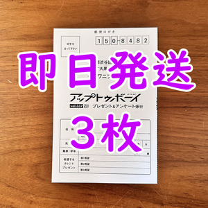 【即日発送】池田瑛紗 アップトゥボーイ 応募ハガキ3枚セット★チェキ プレゼント応募券 UTB 2024年5月号 vol.337