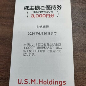 USMH ユナイテッド・スーパーマーケットホールディングス 株主優待券３,０００円分 ネコポス送料込