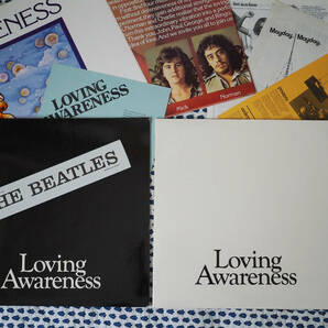 ★オランダ原盤★Norman Watt-Roy,John Turnbull,Micky Gallagher【 Loving Awareness 】★ 極美２枚セット / ポスター他いろいろ付属の画像1