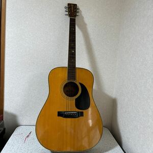 Morris アコースティックギター W-40 