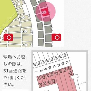 阪神 vs 広島 8月9日 京セラドーム プロ野球の画像2