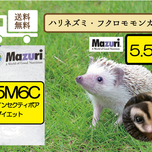 【期間限定SALE大特価】★最安値に挑戦 たっぷり5.5kg【Mazuriマズリ】5M6Cインセクティボア ダイエット ハリネズミ