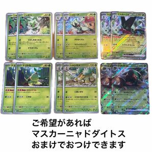 ポケモンカード　ニャオハ　ニャローテ　マスカーニャ　ナエトル　ハヤシガメ　ドダイトス