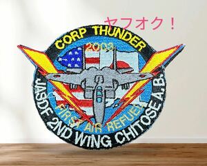 即決あり　航空自衛隊　F-15J 第2航空団　コープサンダー　アラスカ　ワッペン パッチ JASDF 空自
