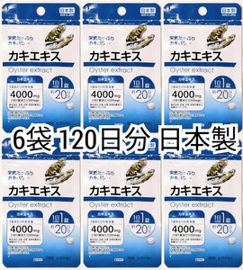 栄養たっぷり牡蠣パワー カキエキス×6袋計120日分120錠(120粒) 日本製無添加健康食品サプリメント(サプリ) 防水梱包送料無料即納