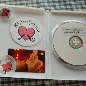 【送料無料】岸野雄一 WATTS TOWERS【2005 Nov. 3 Akihabara】DVD 中古美品の画像5