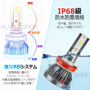 イエロー アップルグリーン LED フォグランプ H8 H11 H16 レモングリーン ライムグリーン 爆光 フォグ ライト 緑 SALEの画像4