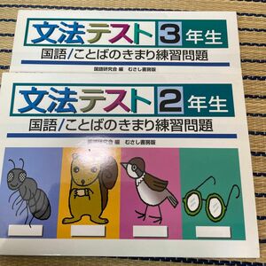 文法テスト　国語／ことばのきまり練習問題　２年生と3年生　新学習指導研究会／編　国語研究会／編