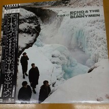 LP /帯付 /Echo &Bunnymen /エコー& バニーメン /ポーキュパイン やまあらし_画像1