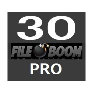 fileboom PRO30日公式プレミアムクーポン 1分で発送 親切サポート 必ず商品説明をお読み下さい。の画像1