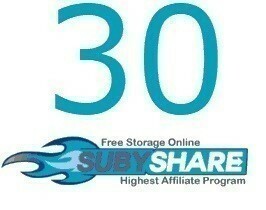 Subyshare30日公式プレミアムクーポン　通常1分で即時発送 有効化期限なし買い置きにも　 親切サポート 必ず商品説明をお読み下さい。