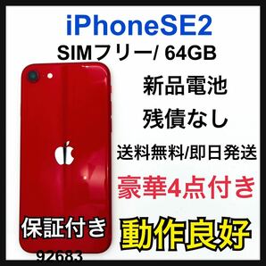 iPhone SE 第2世代 (SE2) レッド 64 GB SIMフリー　本体