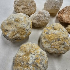 S-119 天然石 原石 モロッコ産 水晶ジオード 自分で割る １１個の画像2