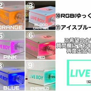 【LIVE BOY V2】【AUX】 オレンジ USBリバーブユニット バイブラソニック ローライダー USDM JDM オーディオ チャーチ church の画像3