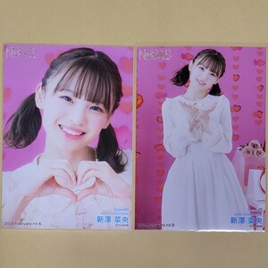 NMB48 新澤菜央 月別ランダム生写真 2024 February-rd 2月 2種 コンプ vol.2 バレンタイン衣装