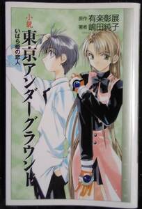 「小説　東京アンダーグラウンド　いばら姫の恋人」原作,有楽彰展　著者,嶋田純子　エニックス