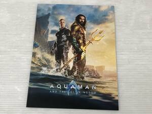 【映画パンフレット】アクアマン 失われた王国 ジェイソン・モモア 他 中古品 sybetc074076