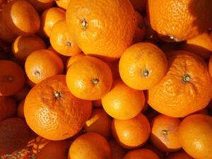 Wakayama Kiyoshi видеть orange ( есть перевод )10 kilo 